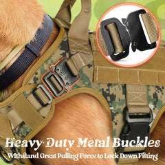 rabbitgoo tactical dog harness front clip no-pull setup supports training sessions.