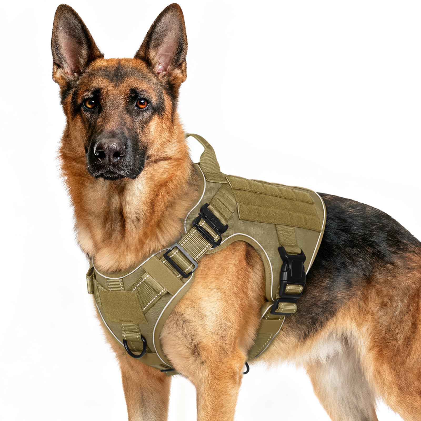 rabbitgoo Tactical Dog Harness front clip enhances no-pull control during walks