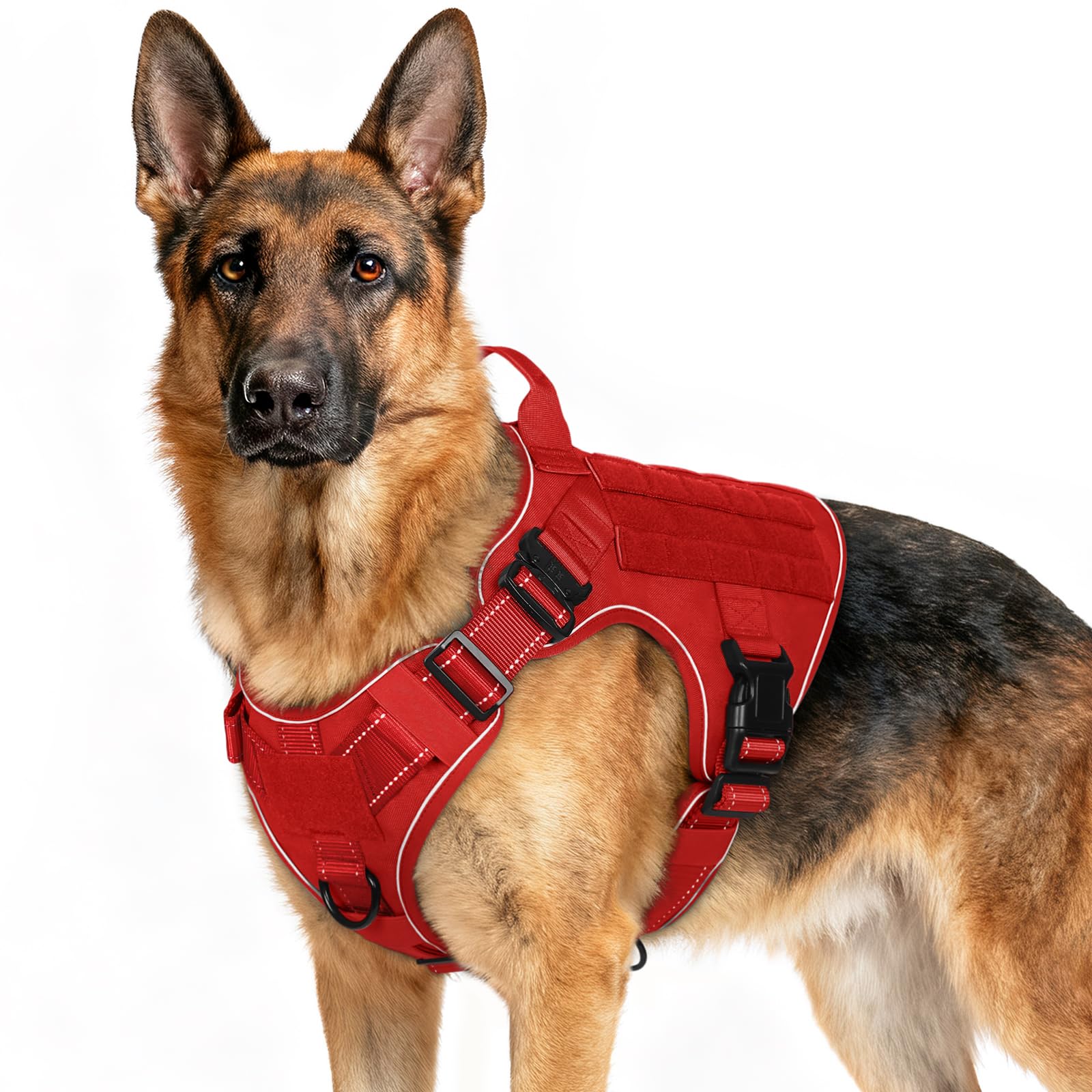 Rabbitgoo tactical dog harness front clip enables no-pull control during training.