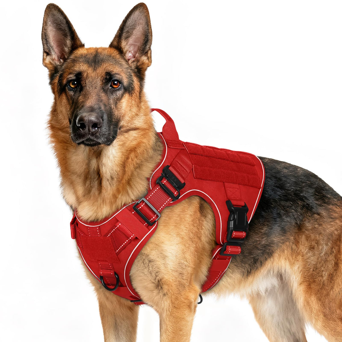 Rabbitgoo tactical dog harness front clip enables no-pull control during training.