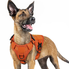 rabbitgoo tactical dog harness front view orange small for no-pull training and control.