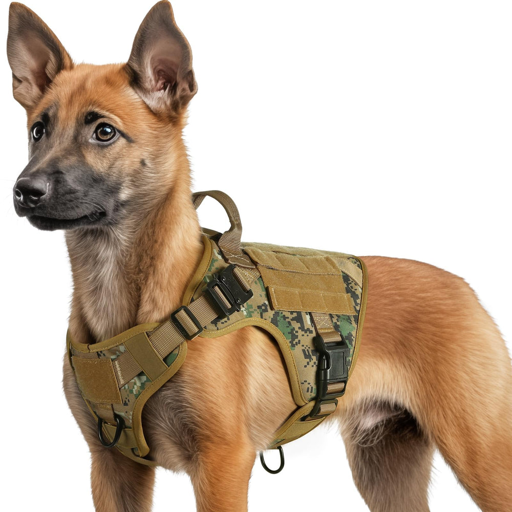 rabbitgoo tactical dog harness front view shows durable 1050D nylon build for small breeds.