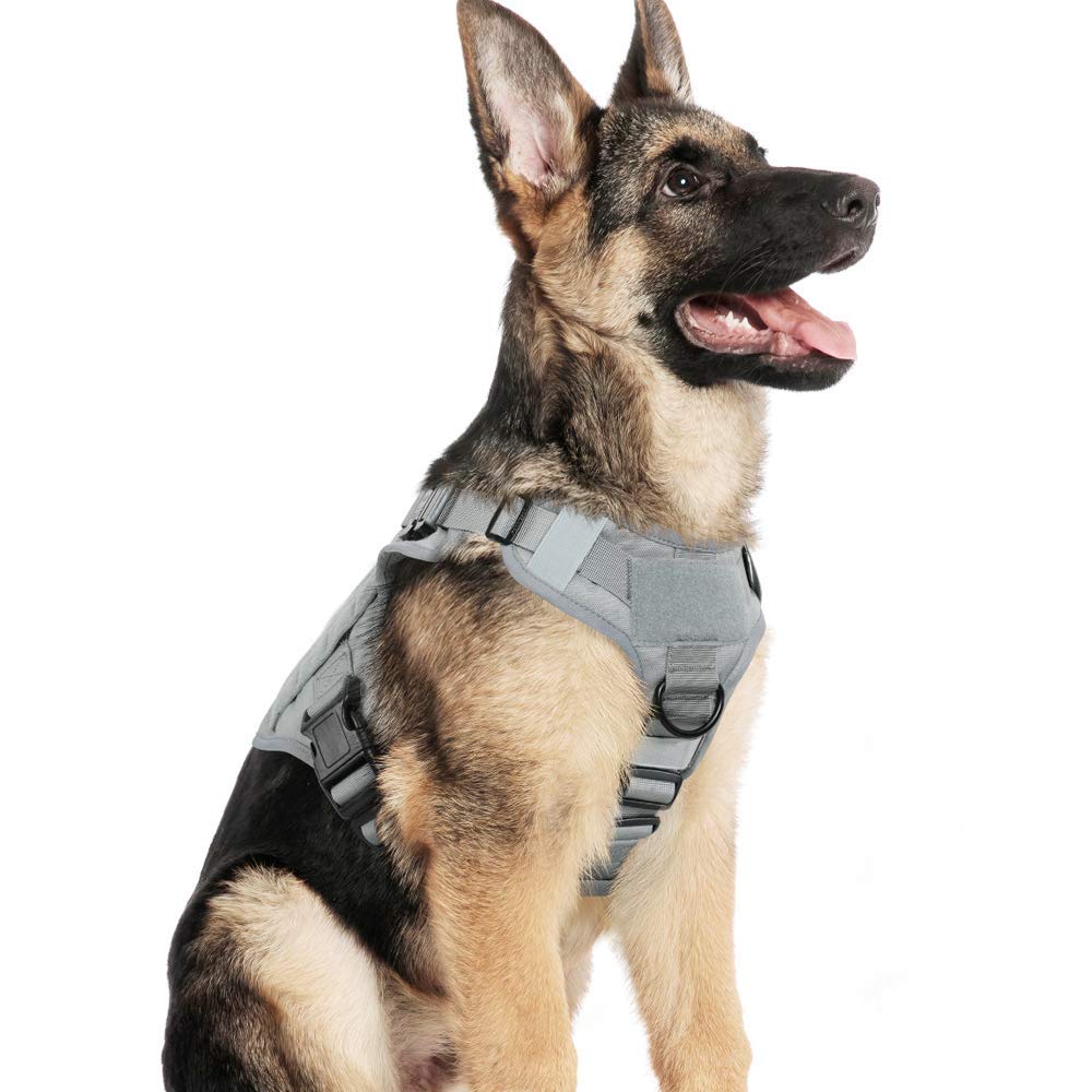 Rabbitgoo tactical dog harness front view for reliable no-pull control