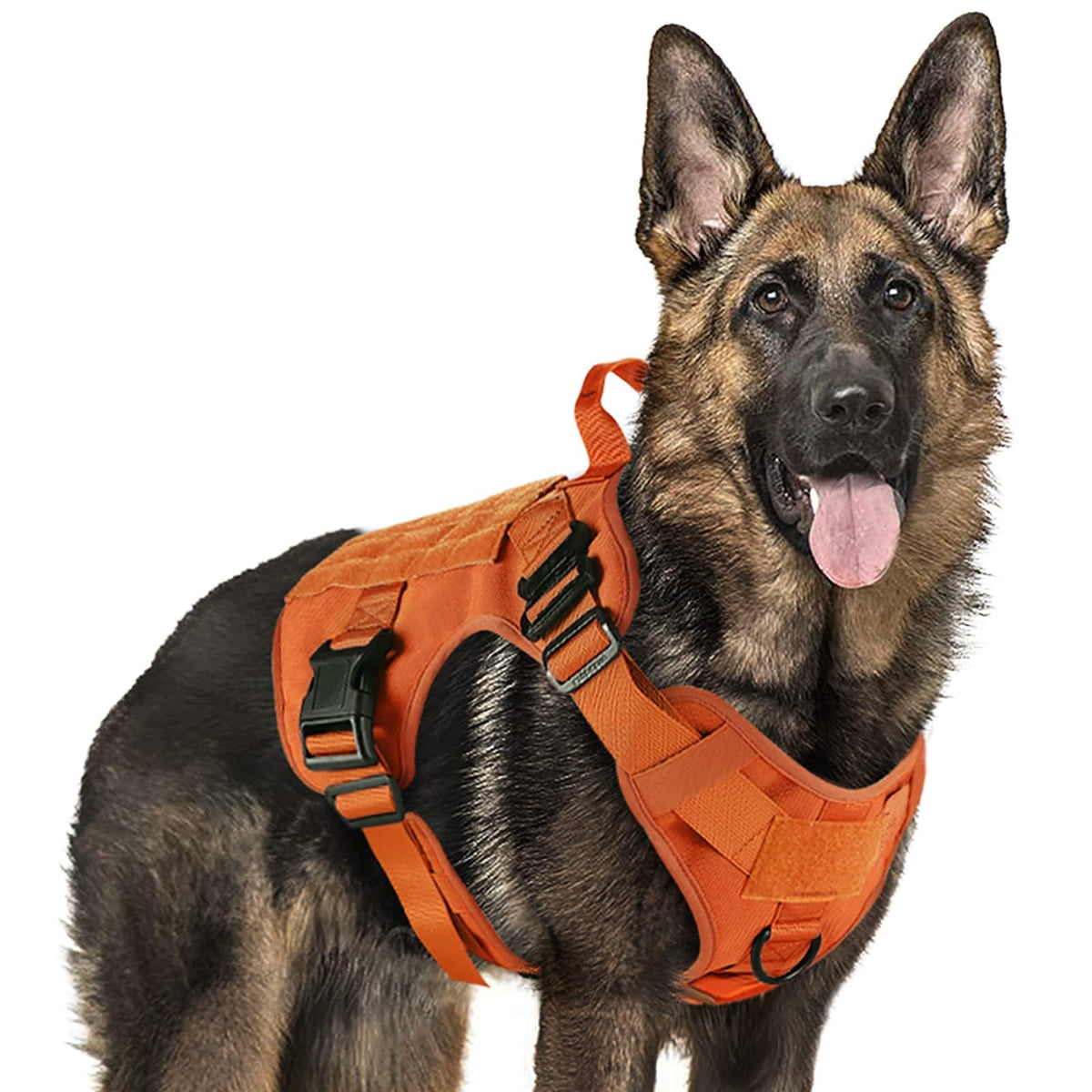 Rabbitgoo tactical dog harness large-breed front view for secure training and hiking.