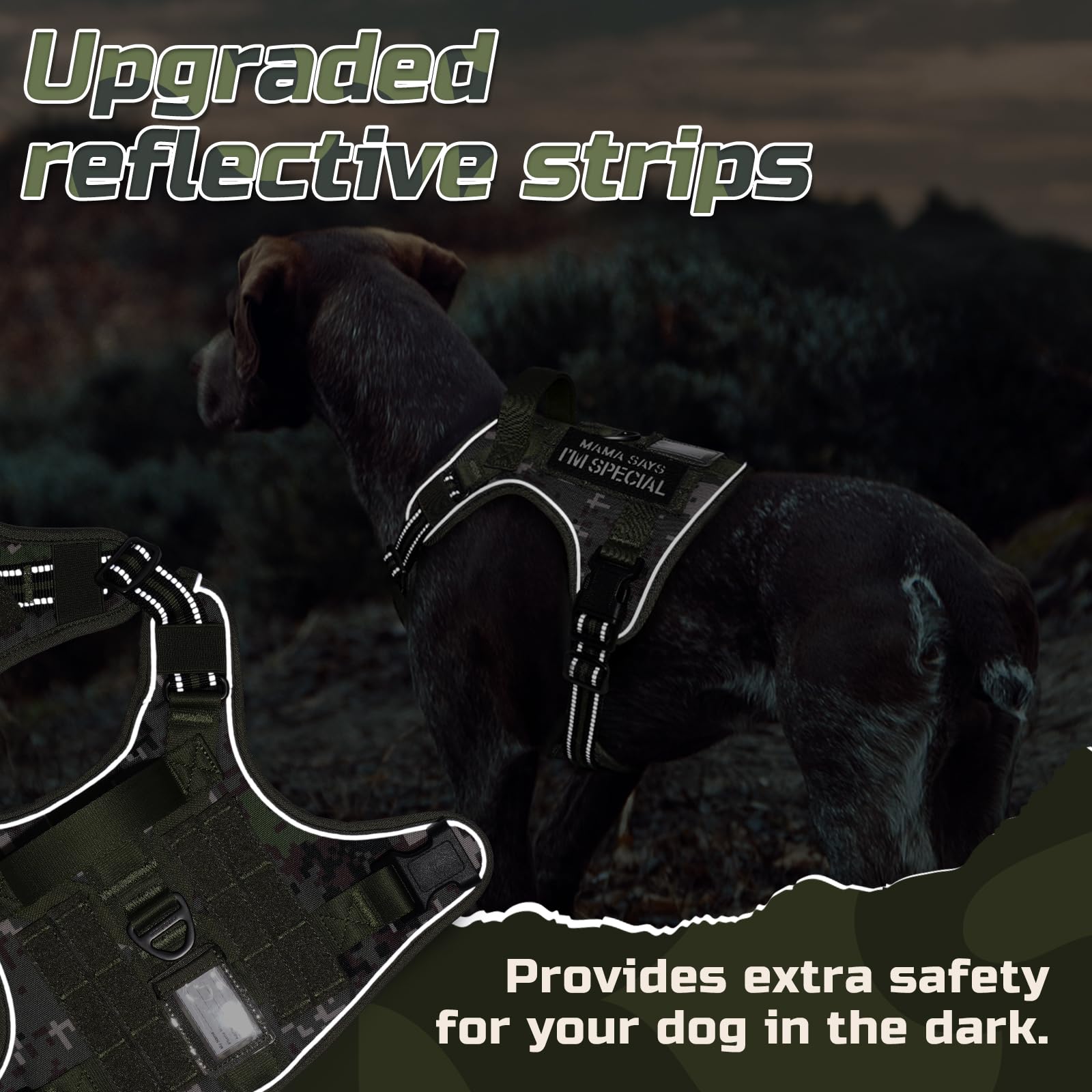 Rabbitgoo adjustable straps and buckles showing a secure, customized fit.