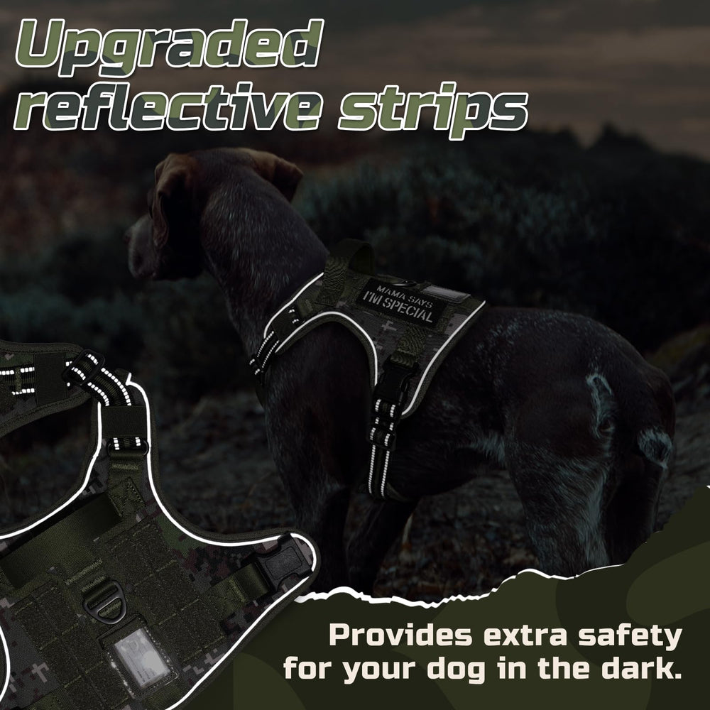Rabbitgoo adjustable straps and buckles showing a secure, customized fit.