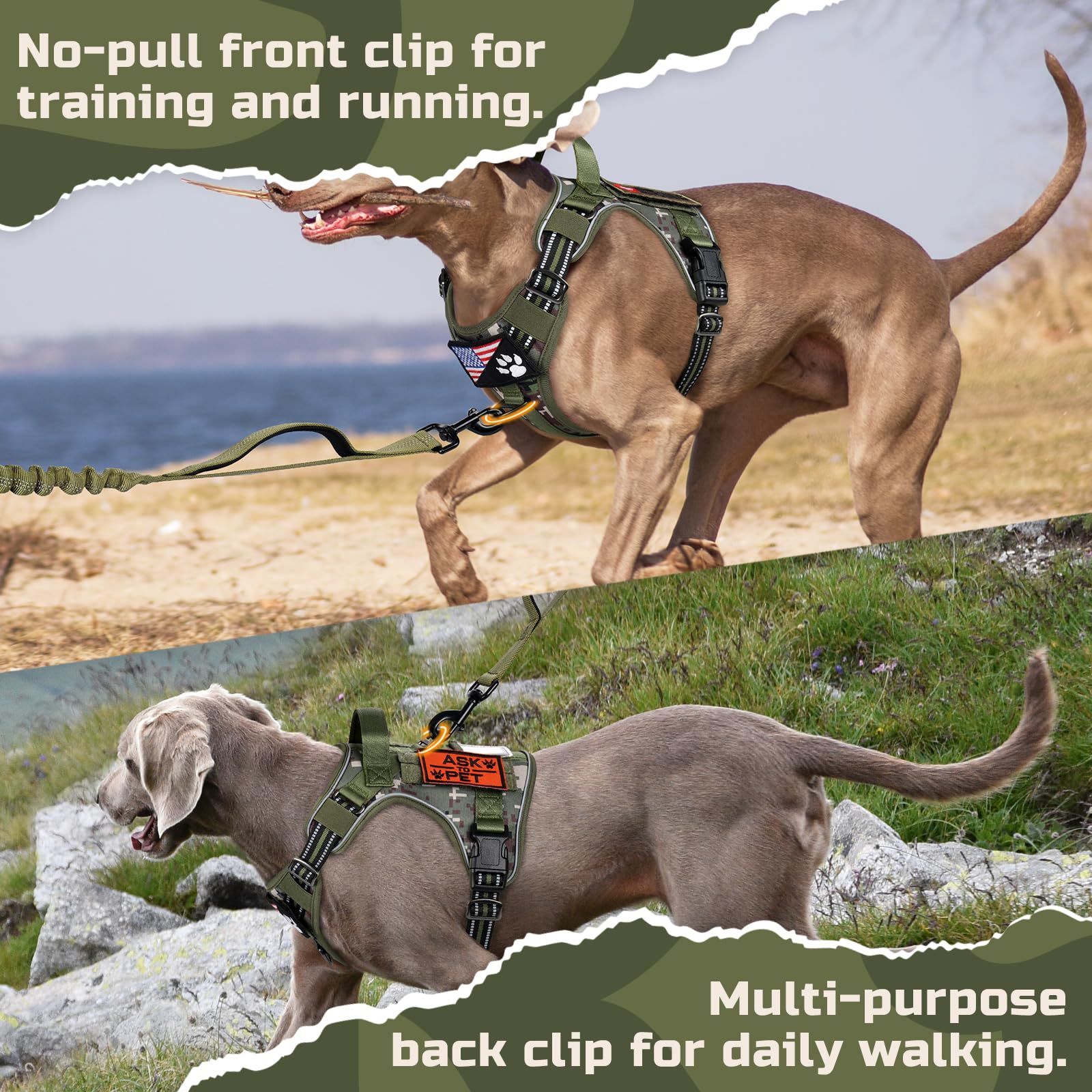 Rabbitgoo soft padded mesh area keeps the dog cool during activity.