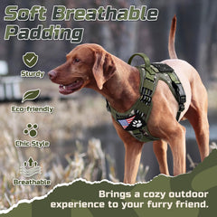 Rabbitgoo reflective trim on harness enhances visibility during nighttime walks.