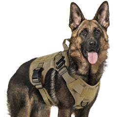 Rabbitgoo Tactical Dog Harness Medium closeup shows Molle system for versatile gear attachment during training
