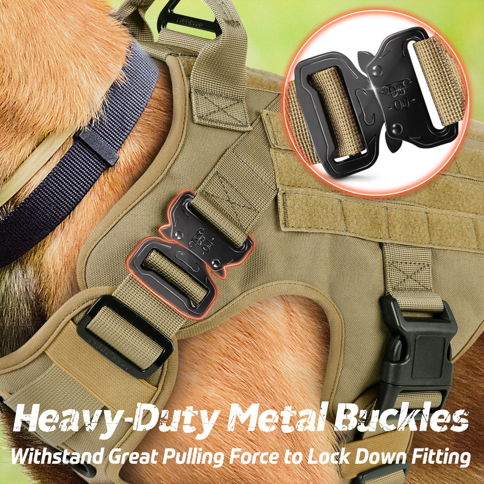 Rabbitgoo Tactical Harness front clip demonstrates no-pull control for training sessions