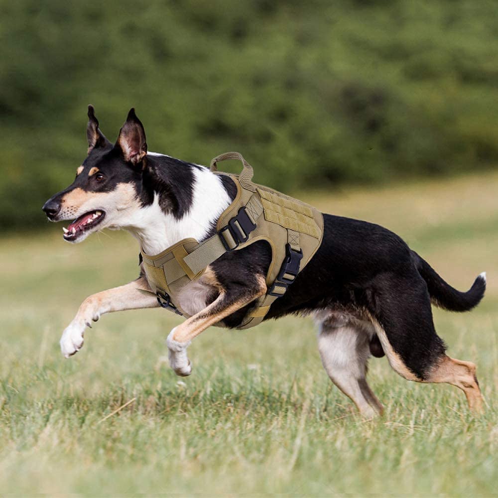 Rabbitgoo Harness in use during hunting and walking demonstrates secure support
