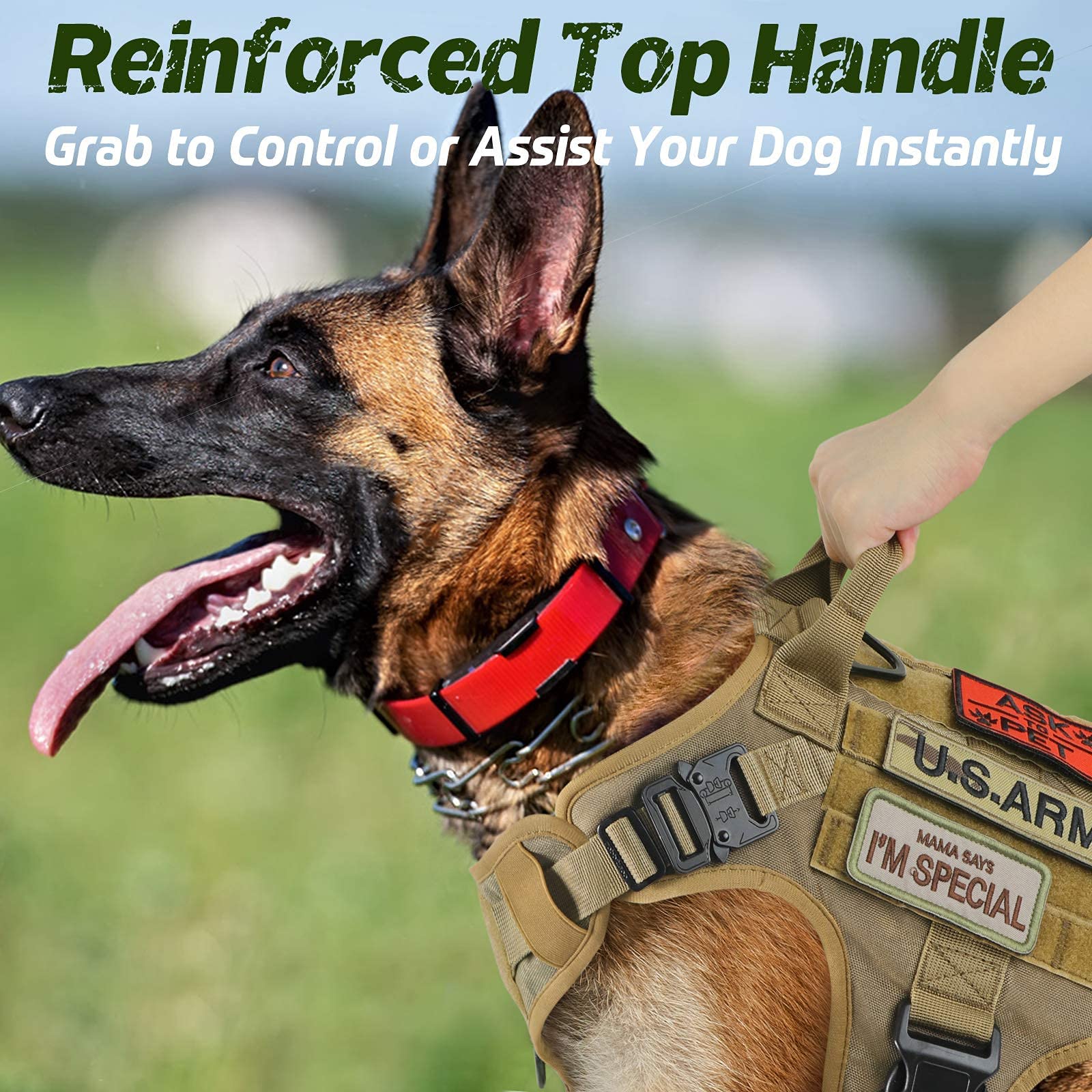 Rabbitgoo Harness metal buckles showcase durable hardware for secure everyday wear