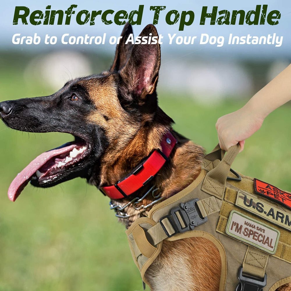 Rabbitgoo Harness metal buckles showcase durable hardware for secure everyday wear