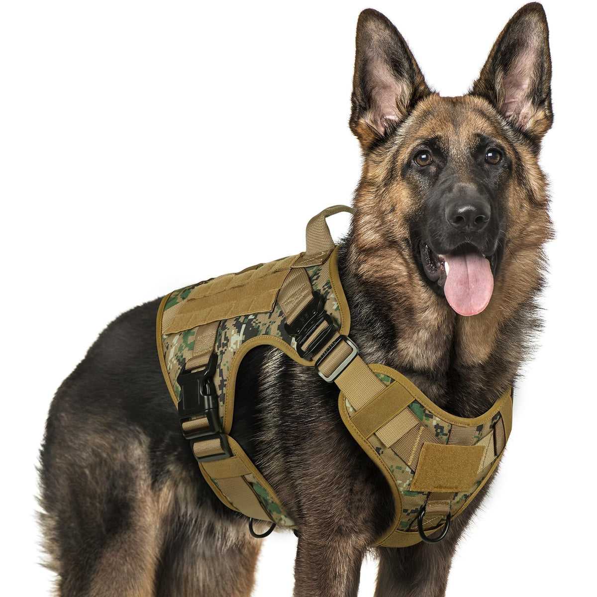 rabbitgoo tactical dog harness with MOLLE side pouches for gear-ready training