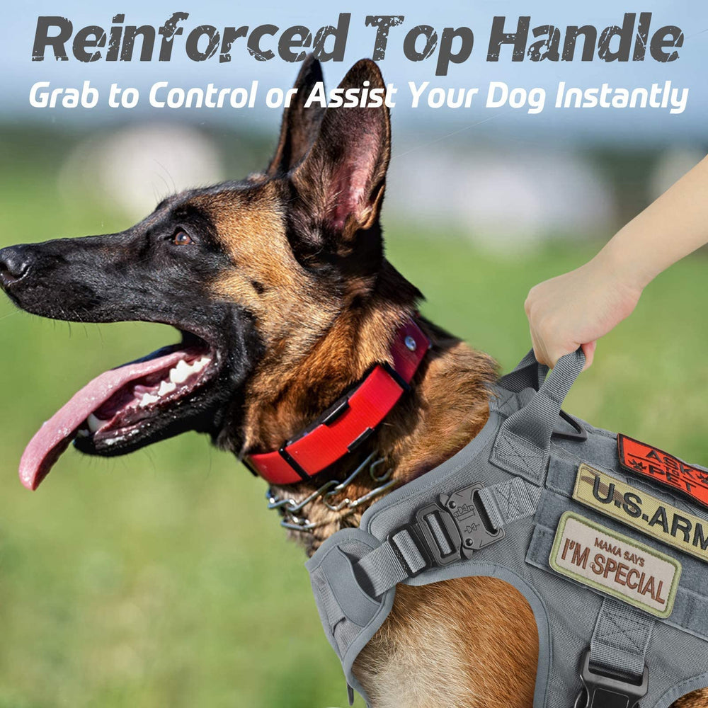 Rabbitgoo tactical dog harness Molle system on the side for pouches