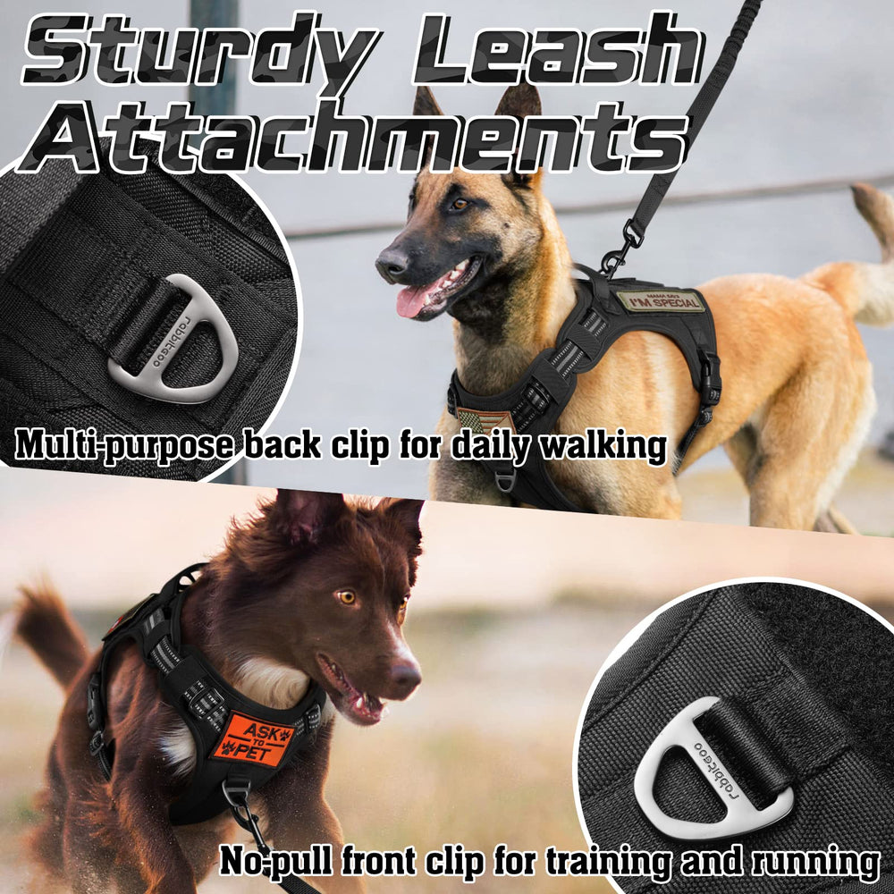 Rabbitgoo no-pull-front-clip helps discourage pulling during walks.