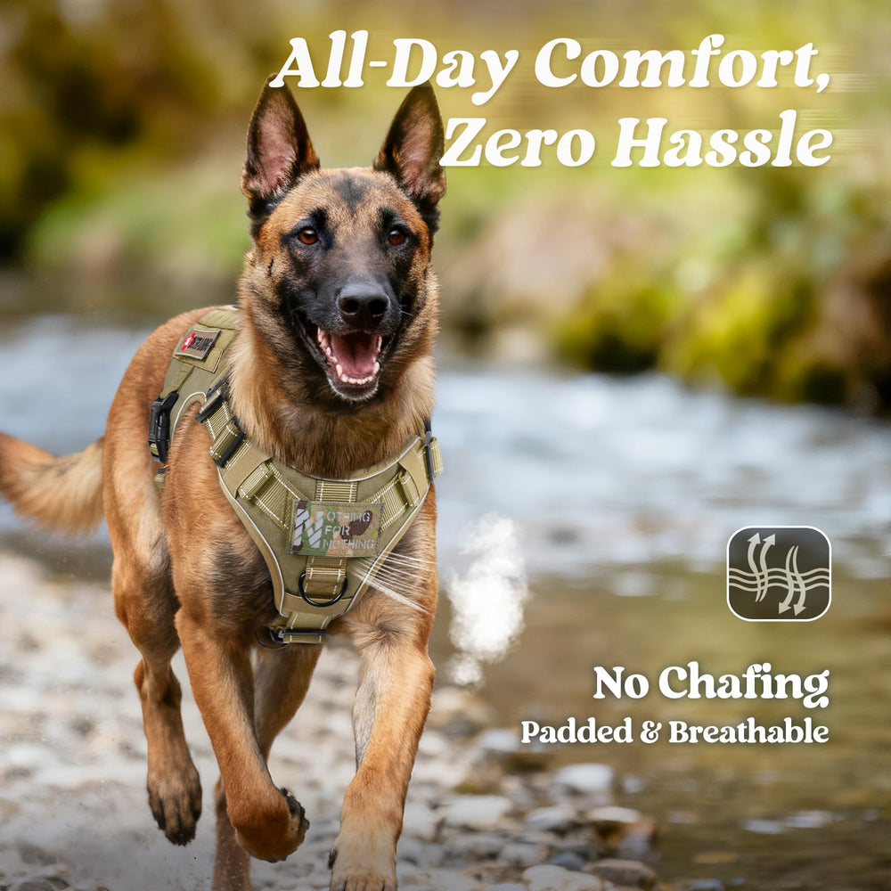 rabbitgoo Harness padding detail reduces chafing on long sessions