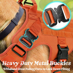 Rabbitgoo tactical dog harness patches and velcro area for personality or tags.