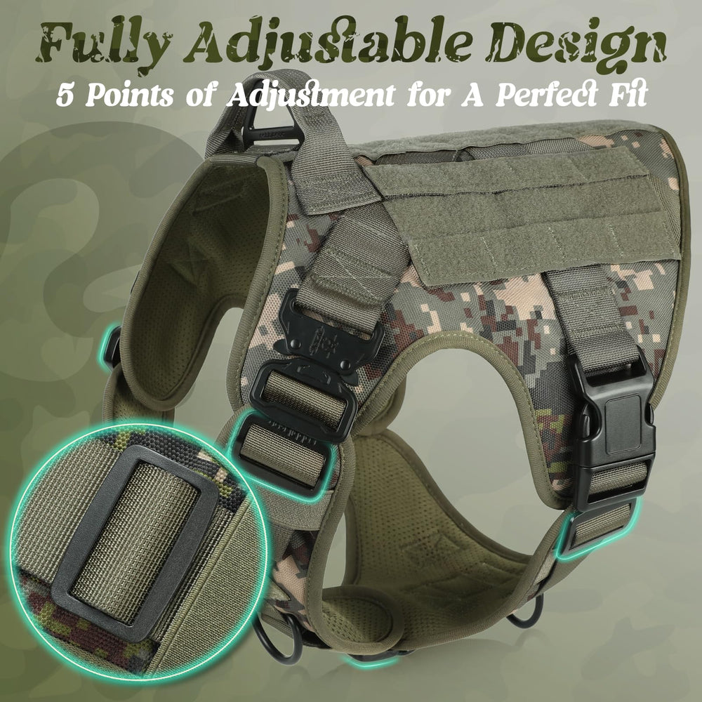 Rabbitgoo quick-release buckles enable easy on/off during training