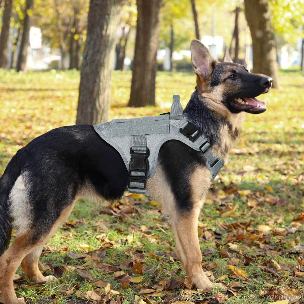 Rabbitgoo tactical dog harness quick-release buckles enable easy on/off