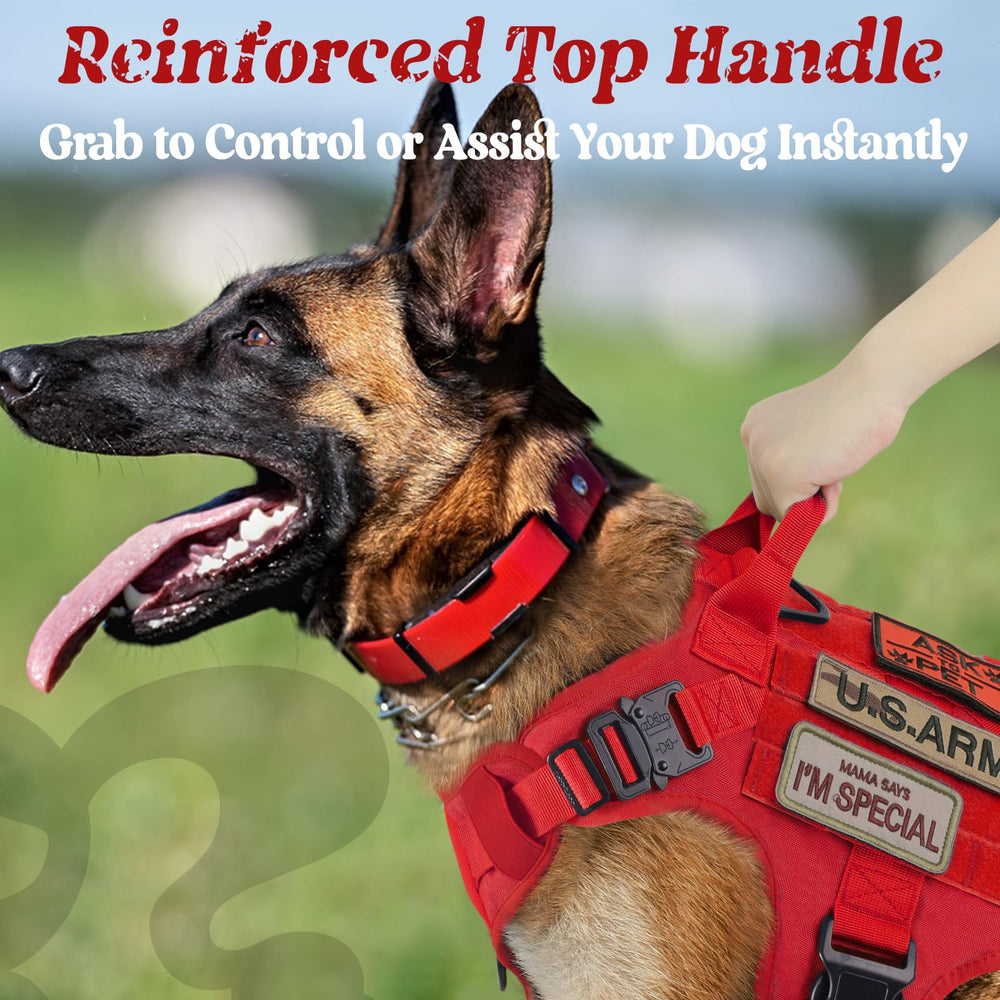 Rabbitgoo tactical dog harness red back view with secure leash attachment for safe walks