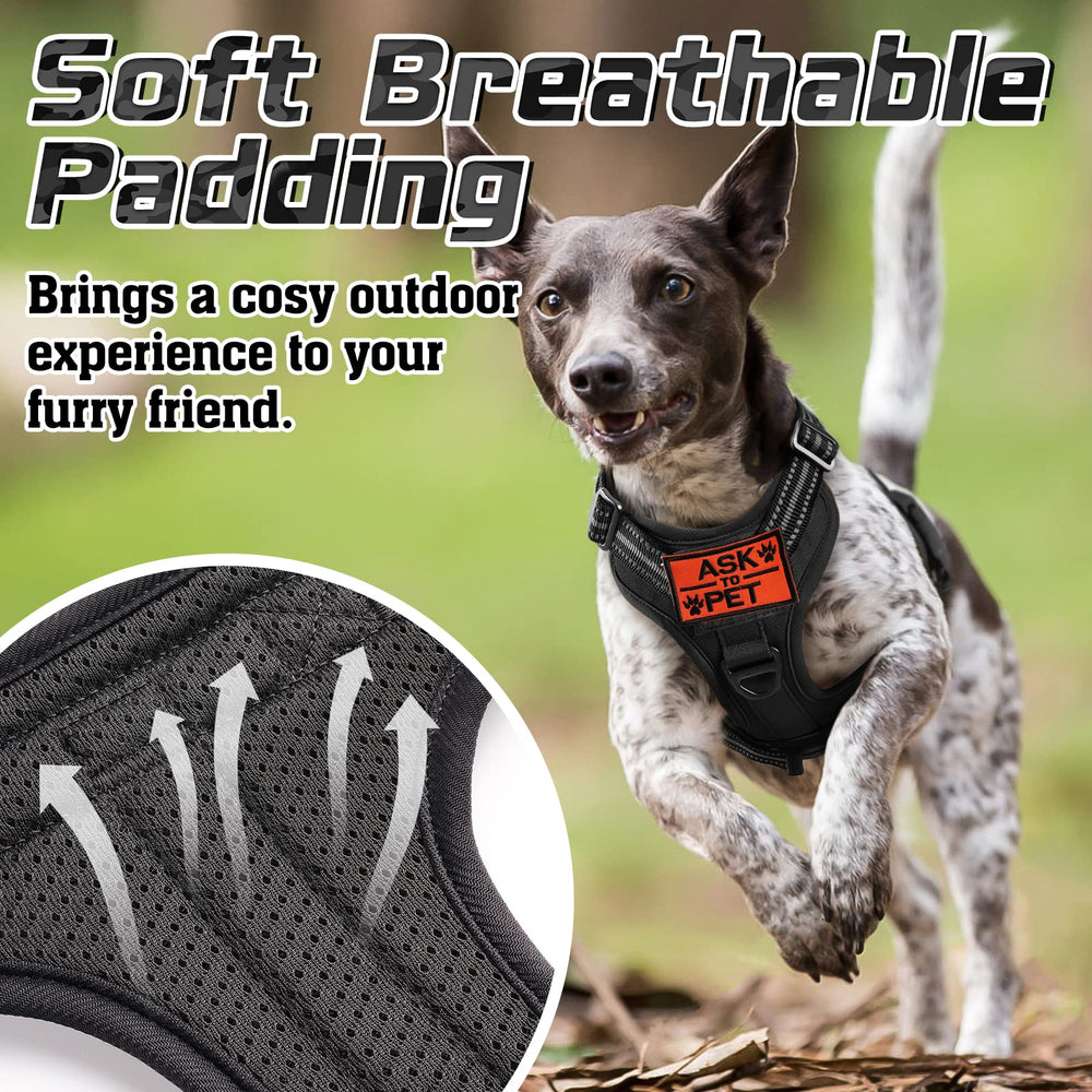 Rabbitgoo reflective-trims boost visibility for safe night walks.
