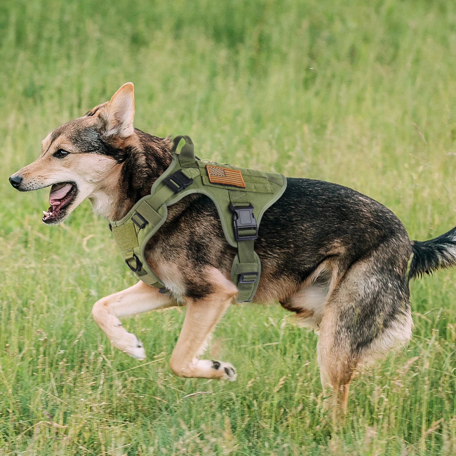 rabbitgoo Tactical Dog Harness reinforced top handle for quick control in rough terrain