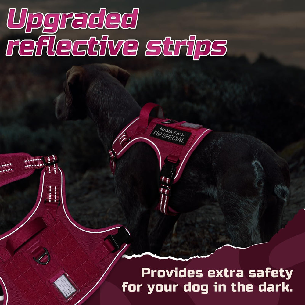 Four adjustment points for a snug fit on Rabbitgoo rose red harness