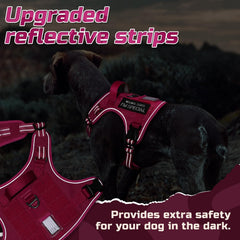 Four adjustment points for a snug fit on Rabbitgoo rose red harness