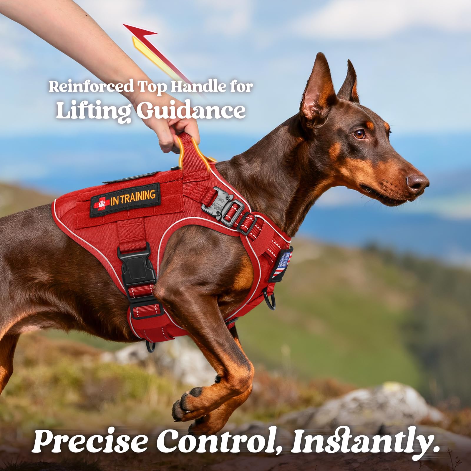 Rabbitgoo tactical dog harness side adjustment demonstrating secure fit across sizes.