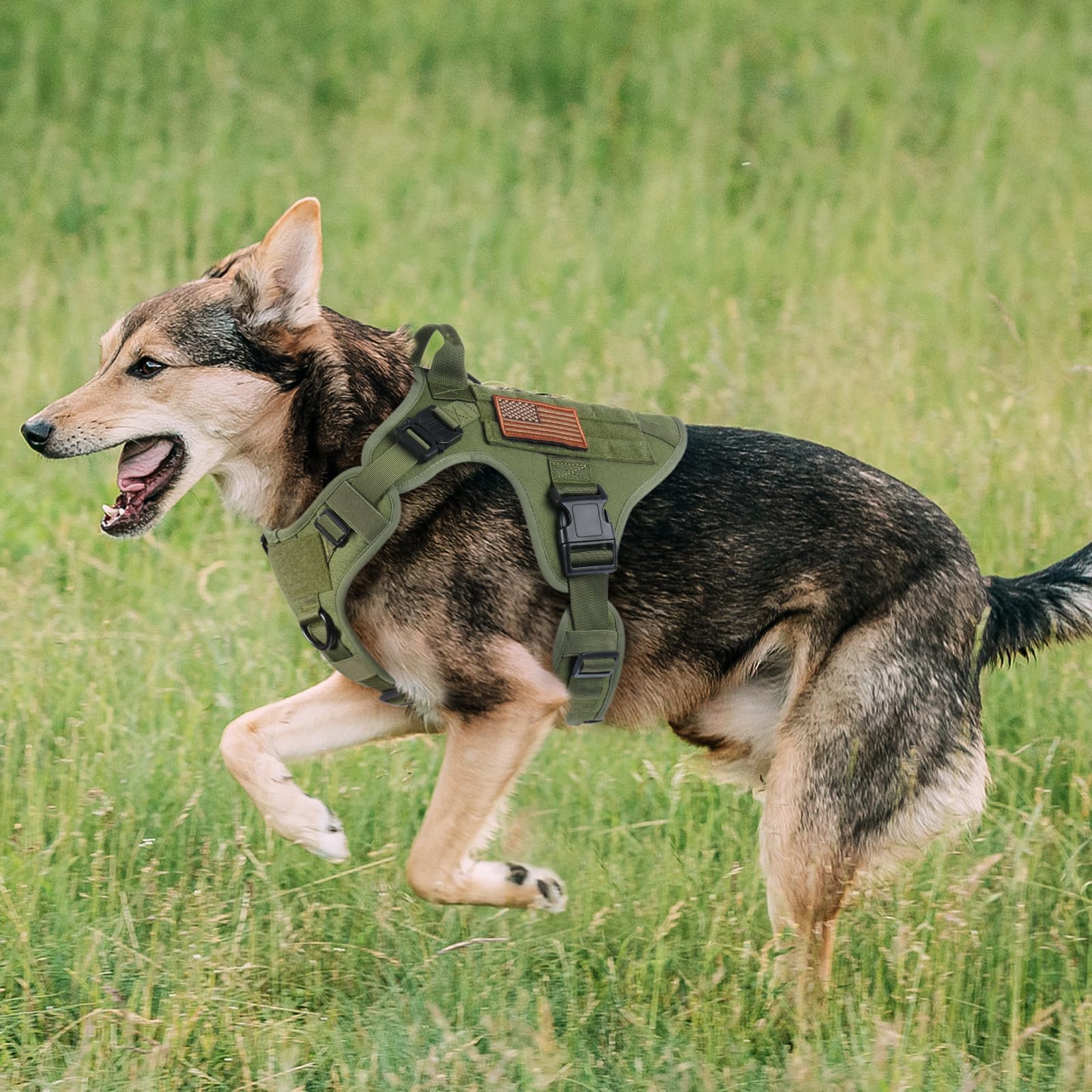 Rabbitgoo tactical dog harness size chart image confirms neck and chest range guidance.