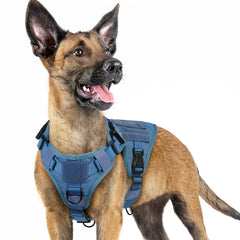 Rabbitgoo tactical dog harness small-blue shows compact fit for small breeds during outdoor training.