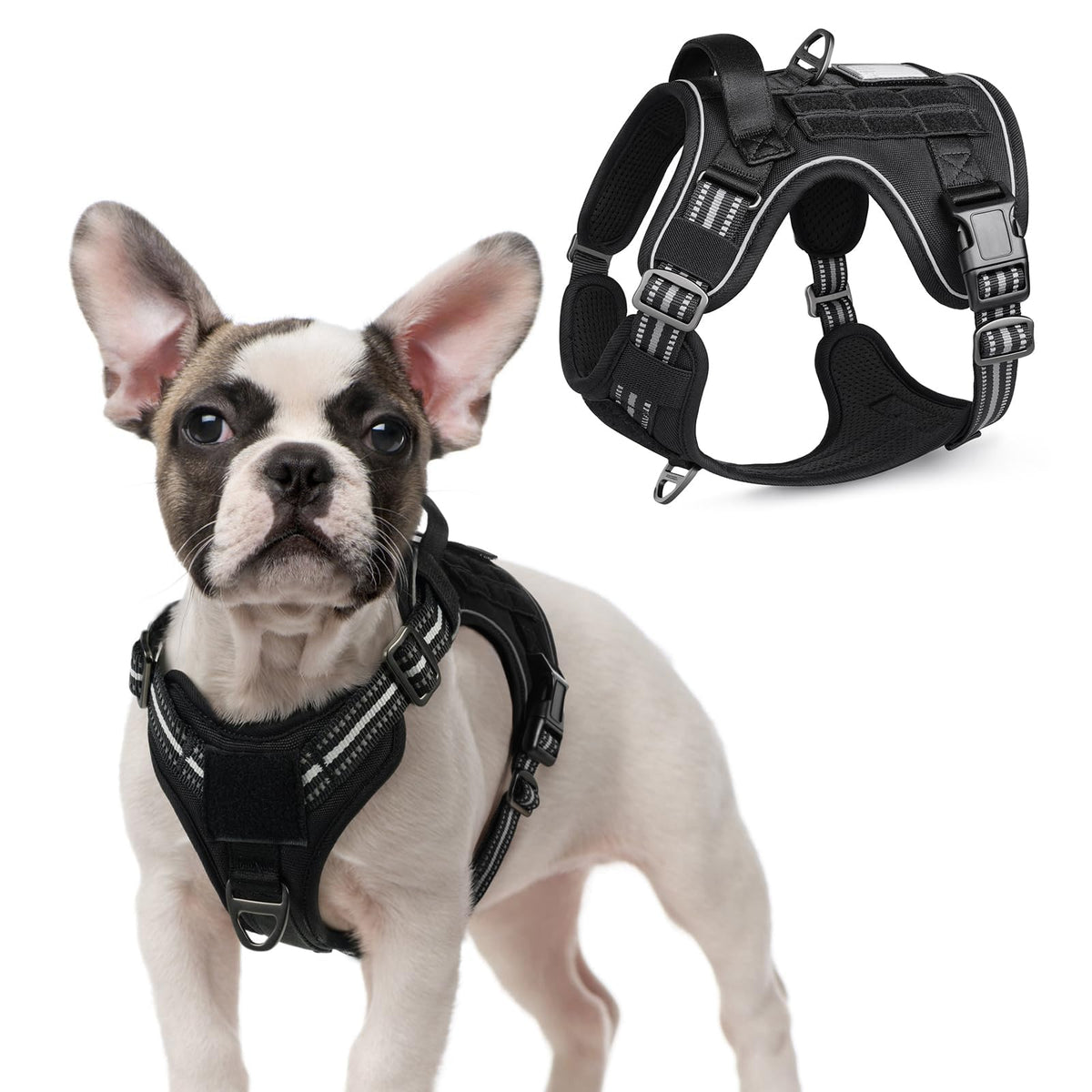 rabbitgoo tactical harness small-dog chest-view for secure training and control.