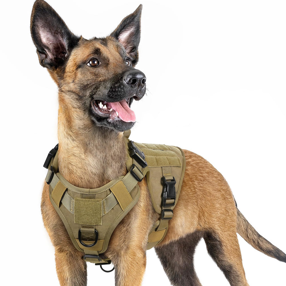 Rabbithero Rabbitgoo tactical dog harness with front clip for training control.