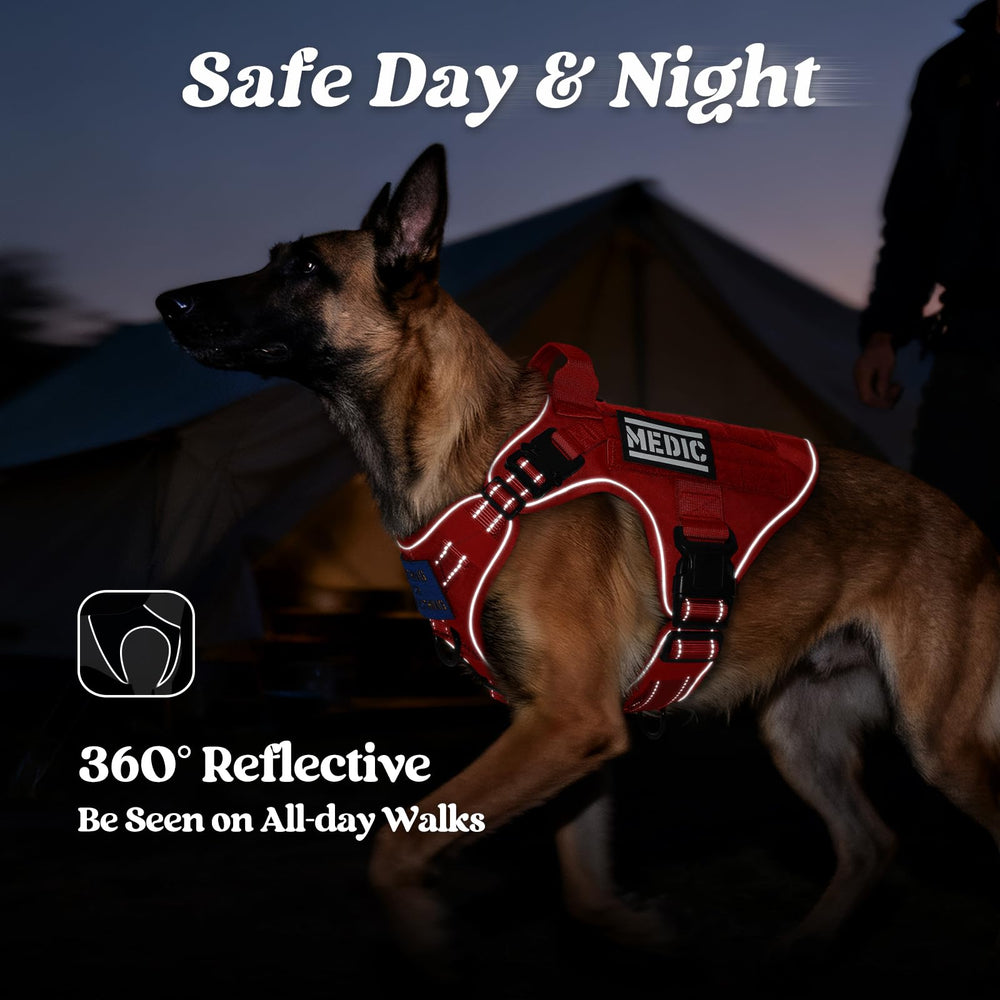 Rabbitgoo tactical dog harness top handle for quick control on hikes.