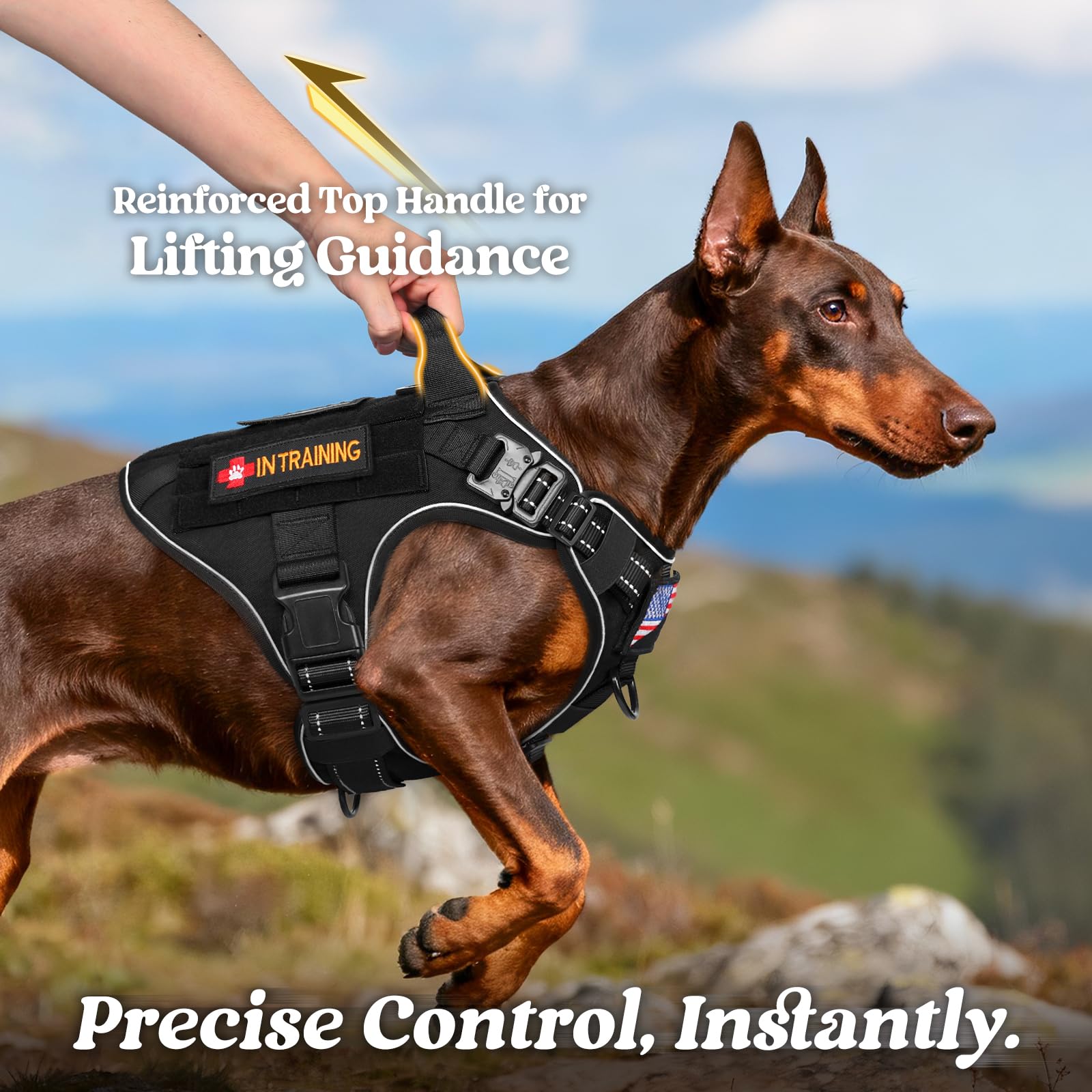 Rabbitgoo tactical dog harness top-handle enables quick emergency assistance.