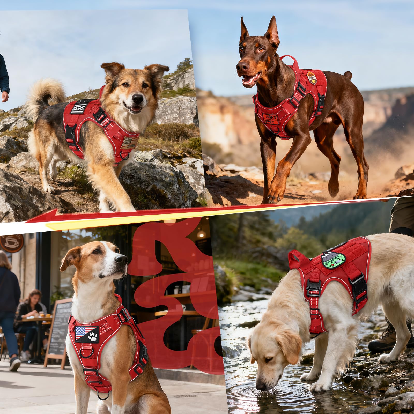 Rabbitgoo tactical dog harness ideal for walking and hiking on rugged terrain.