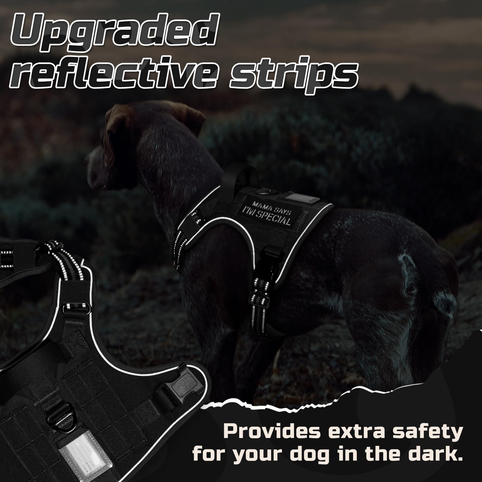 Rabbitgoo Tactical Dog Harness ideal for walking and training sessions.
