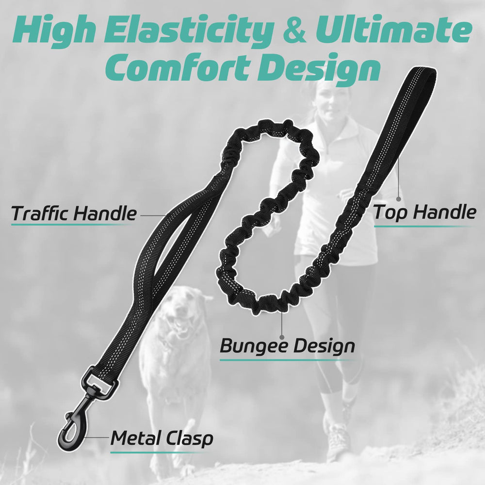 Rabbitgoo tactical leash with dual padded handles for comfortable long walks.