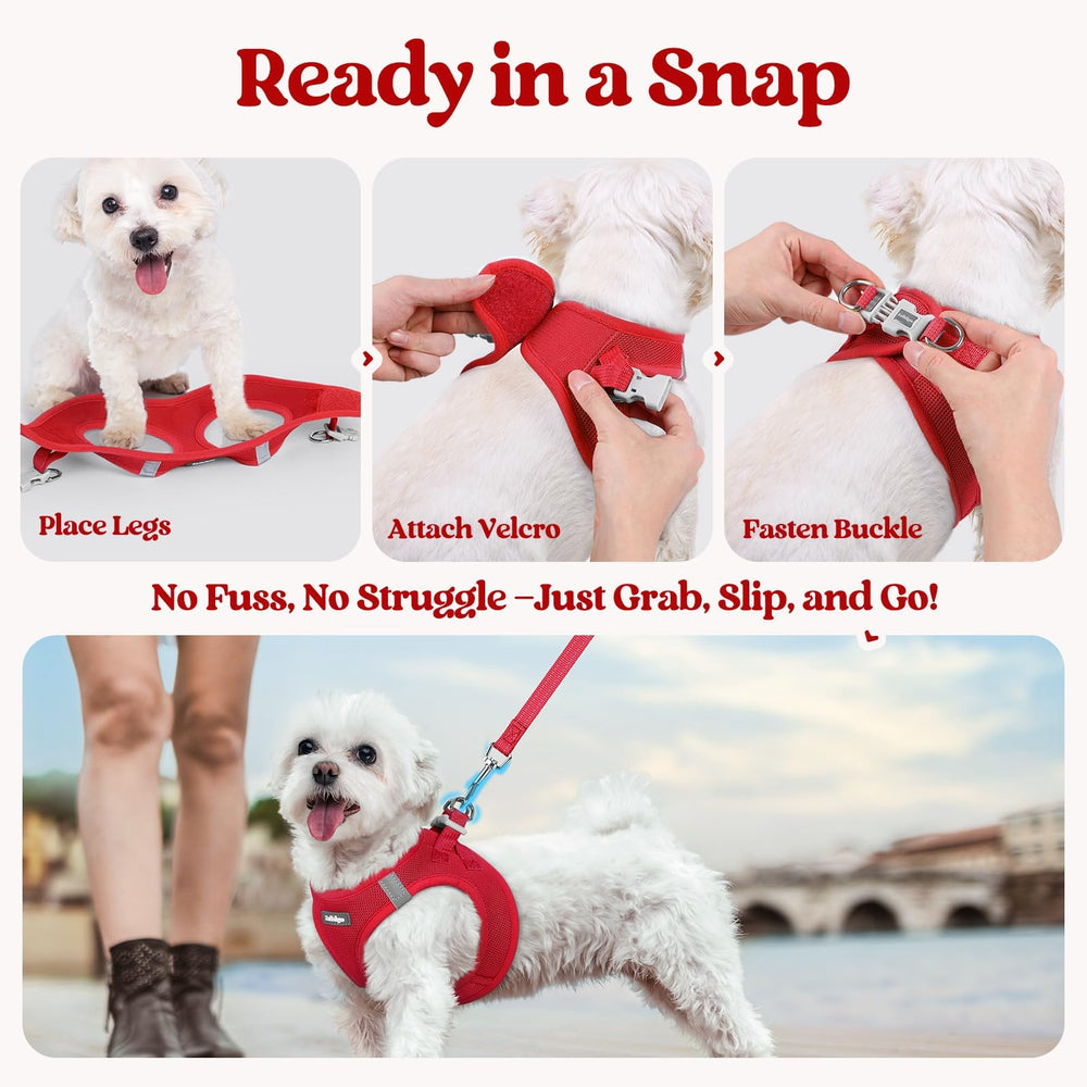 Rabbitgoo dual back D-rings on XXL red harness for balanced pulling.