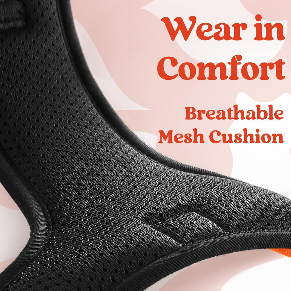 Rabbitgoo two-leash-attachment-points allow versatile control and training.