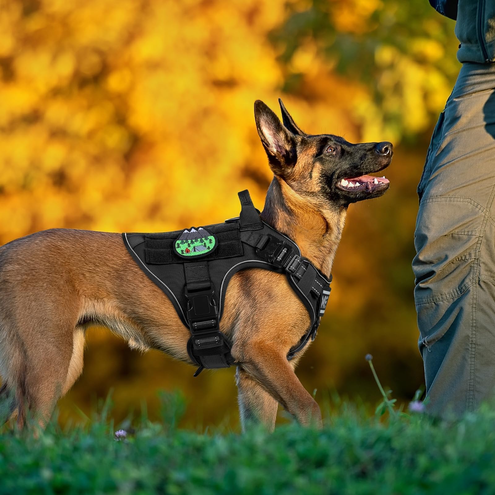 Rabbitgoo dual clip system supports front-control and back-clip use for versatile training.