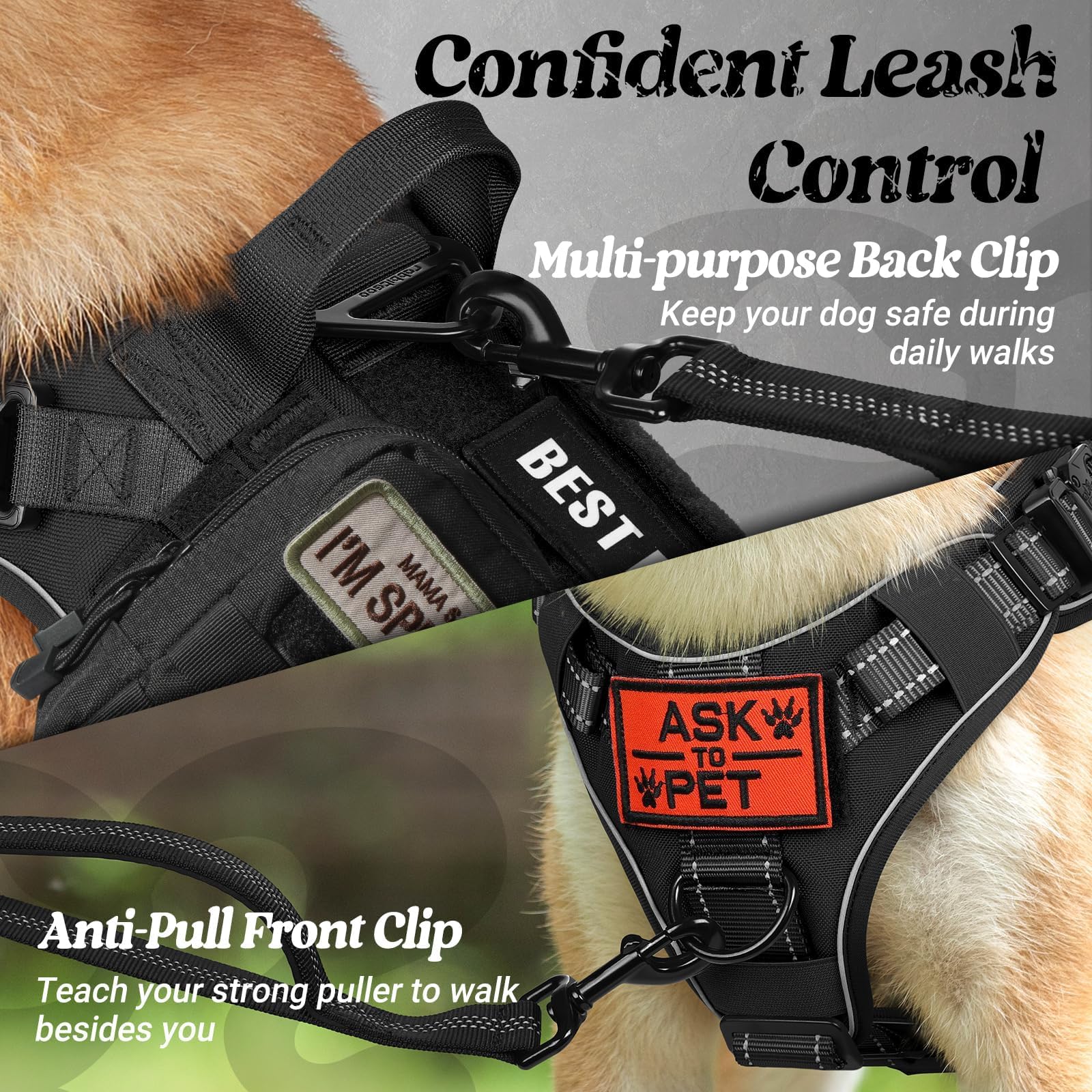 Rabbitgoo MOLLE webbing area allows attaching pouches for gear on the harness.