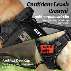 Rabbitgoo MOLLE webbing area allows attaching pouches for gear on the harness.