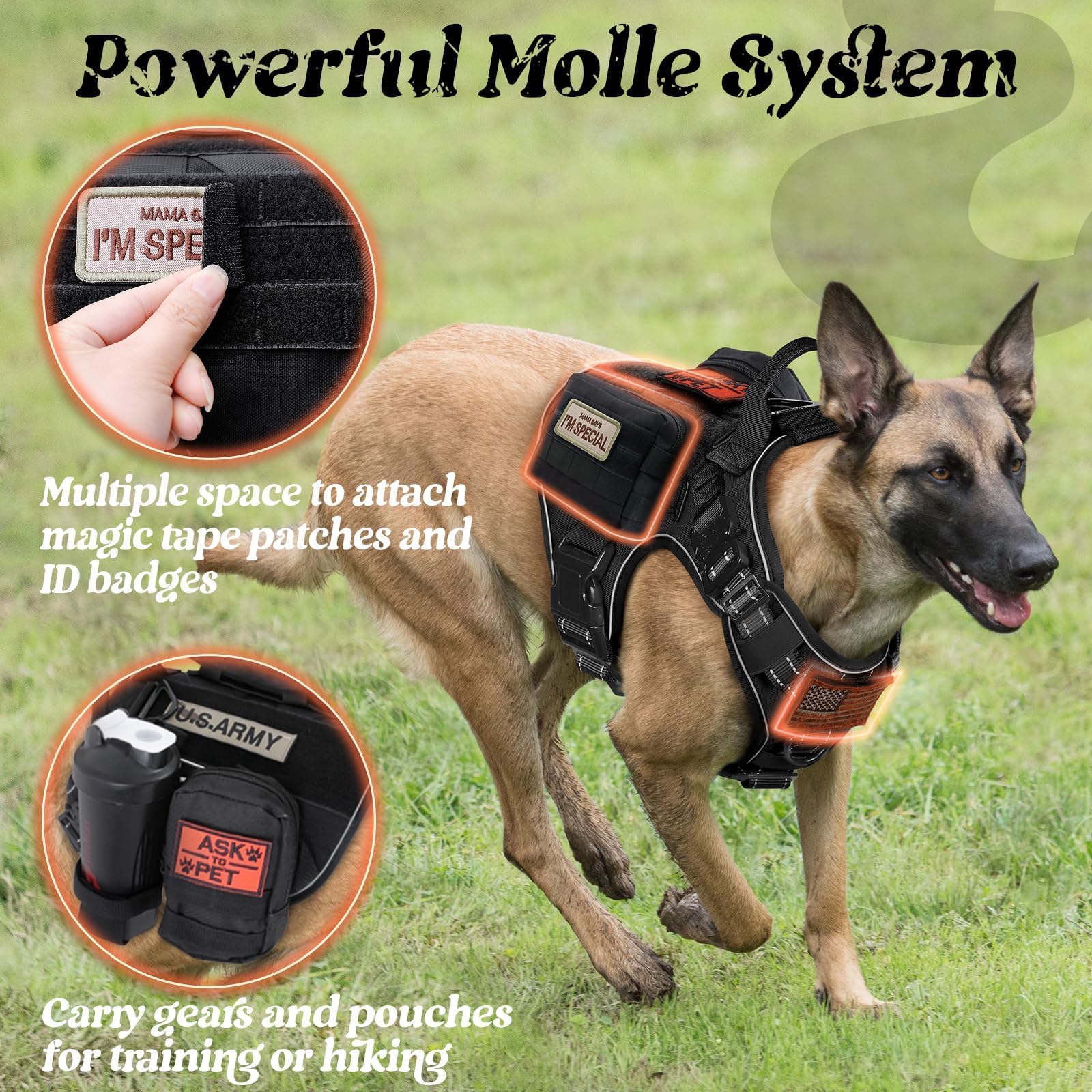 Rabbitgoo 1050D nylon construction withstands daily wear and curious chews outdoors.