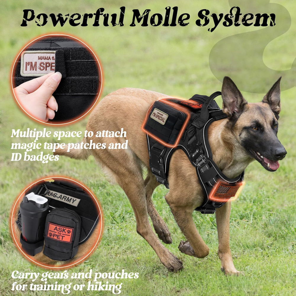 Rabbitgoo 1050D nylon construction withstands daily wear and curious chews outdoors.