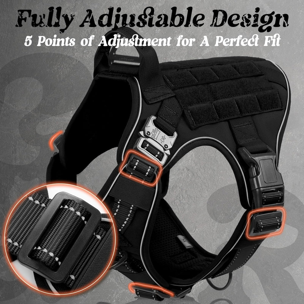 Rabbitgoo padded air-mesh lining keeps comfort during long training sessions.