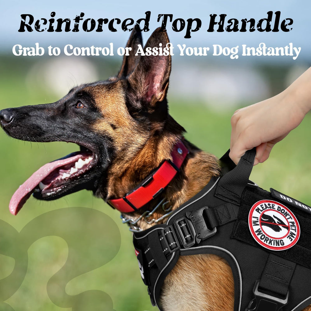 Rabbitgoo reflective stitching boosts visibility during dawn patrols and night walks.