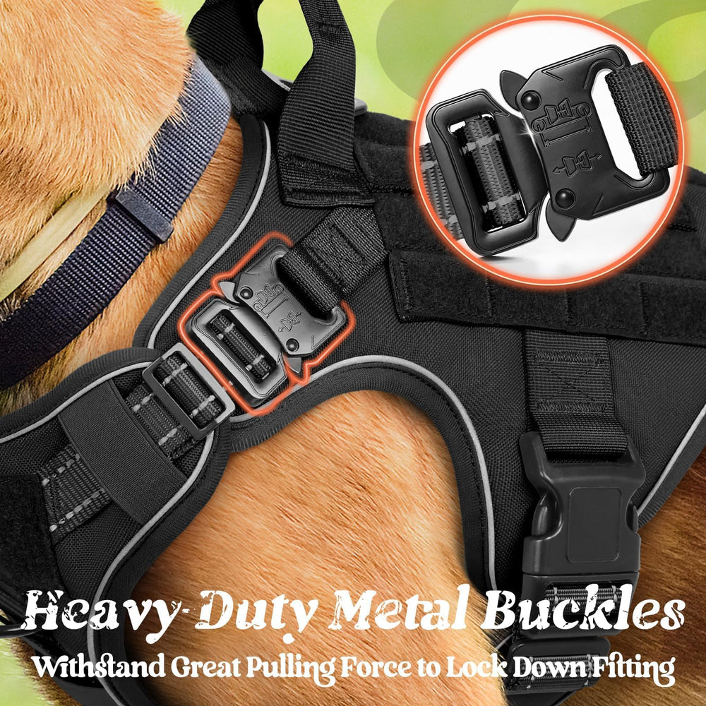 Rabbitgoo top-handle design enables quick emergency guidance during outdoor activities.