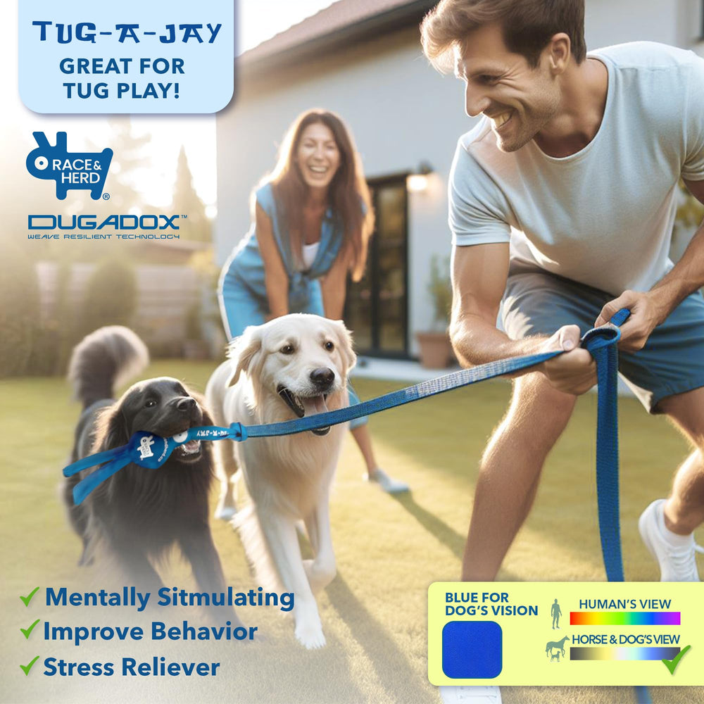 Race&Herd Tug-A-Jay backyard play equipment keeps dogs active outdoors.
